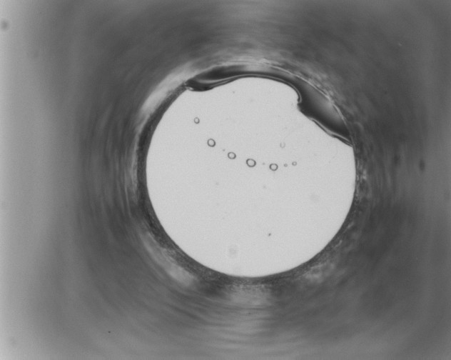 X0000086330296200704271949