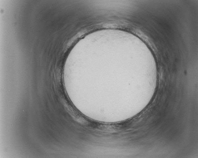 X0000086330297200704271949