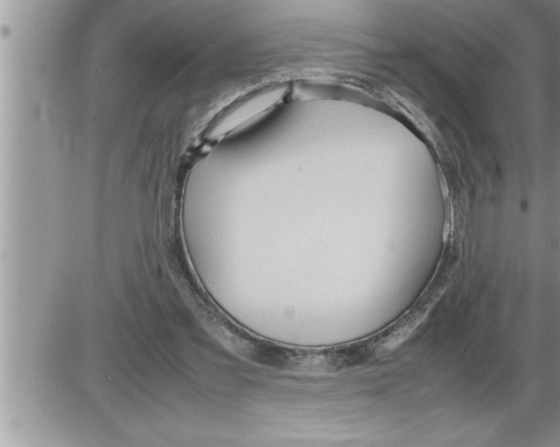 X0000086330301200704271949