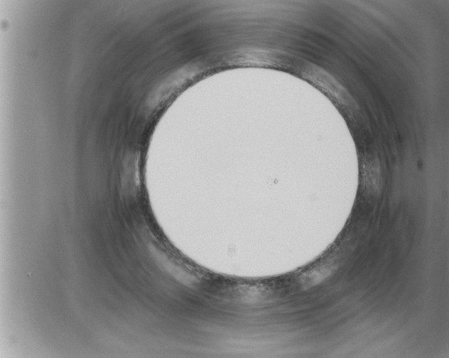 X0000086330302200704271949