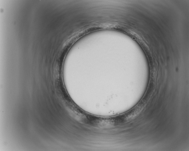 X0000086330303200704271949