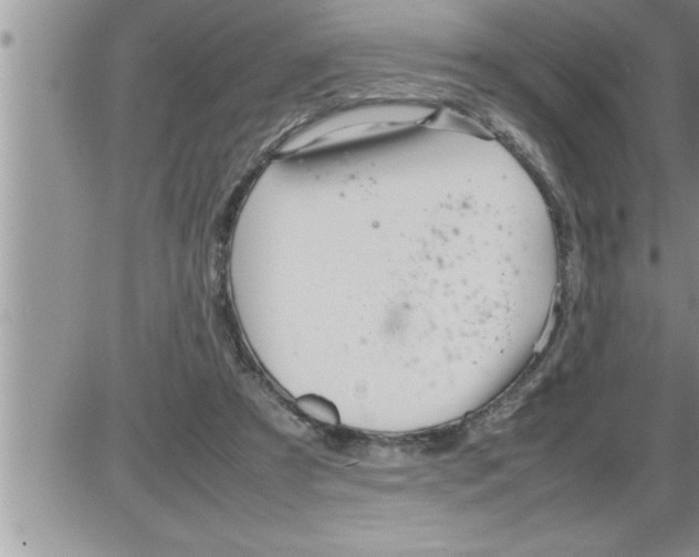 X0000086330305200704271949