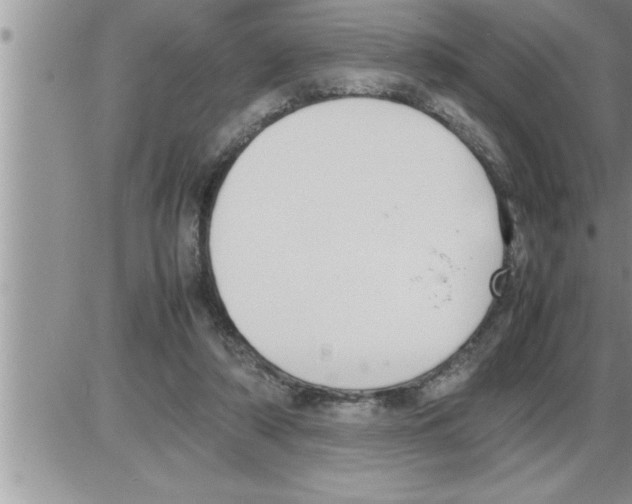 X0000086330306200704271949