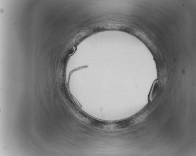 X0000086330309200704271949