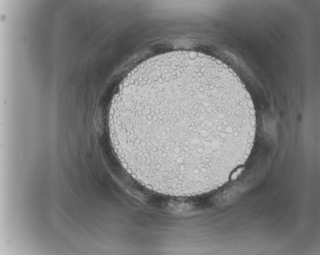 X0000086330311200704271949