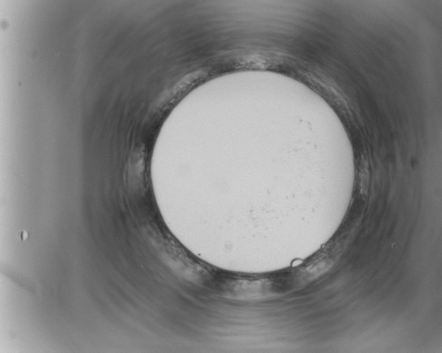 X0000086330314200704271949