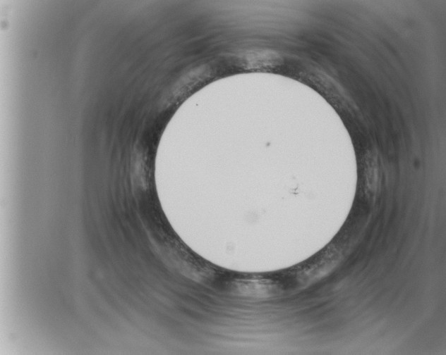 X0000086330316200704271949