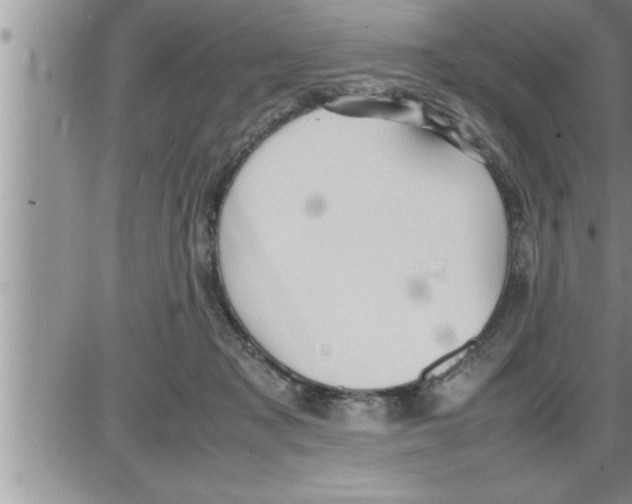 X0000086330317200704271949