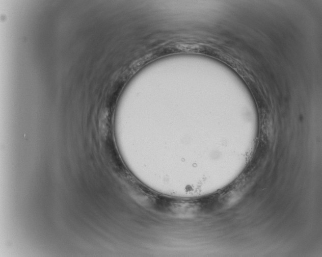 X0000086330319200704271949