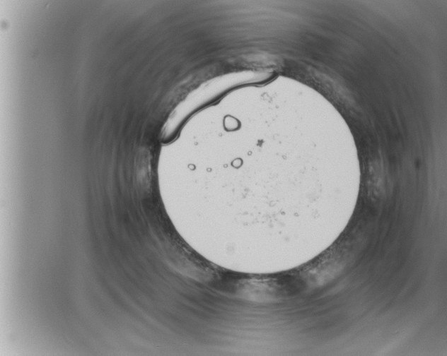 X0000086330320200704271949