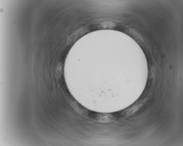 X0000086330321200704271948