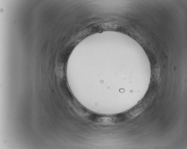 X0000086330323200704271948