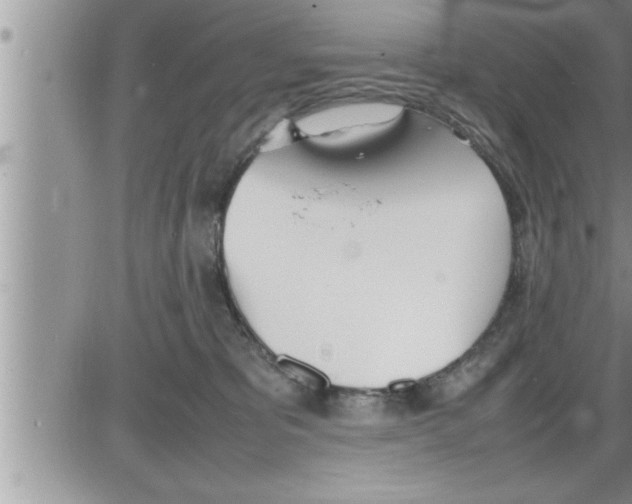 X0000086330325200704271948