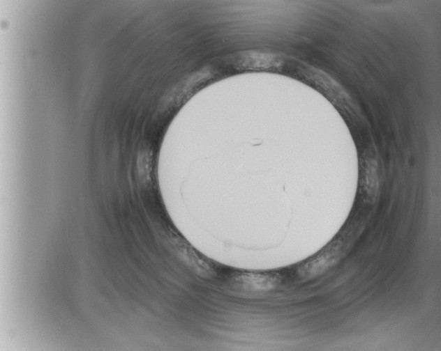 X0000086330326200704271948