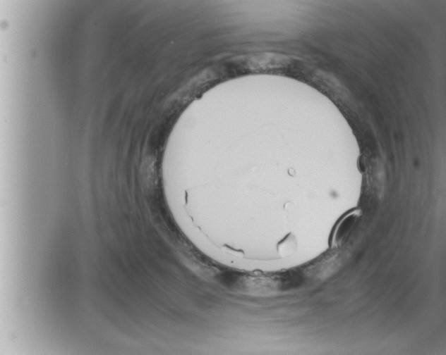 X0000086330327200704271948