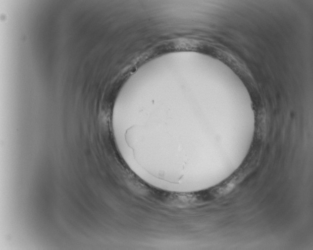 X0000086330329200704271948