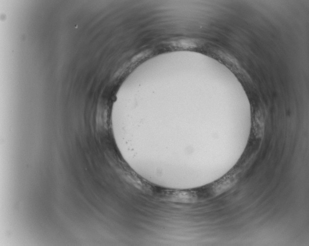 X0000086330330200704271948