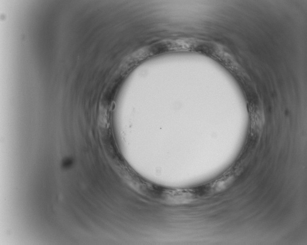 X0000086330331200704271948