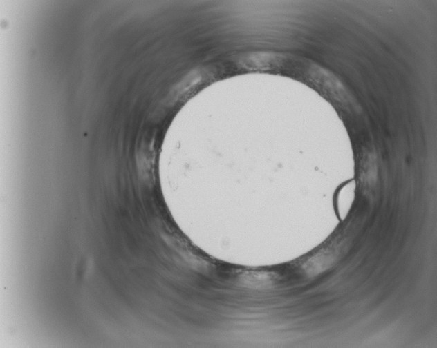 X0000086330332200704271948