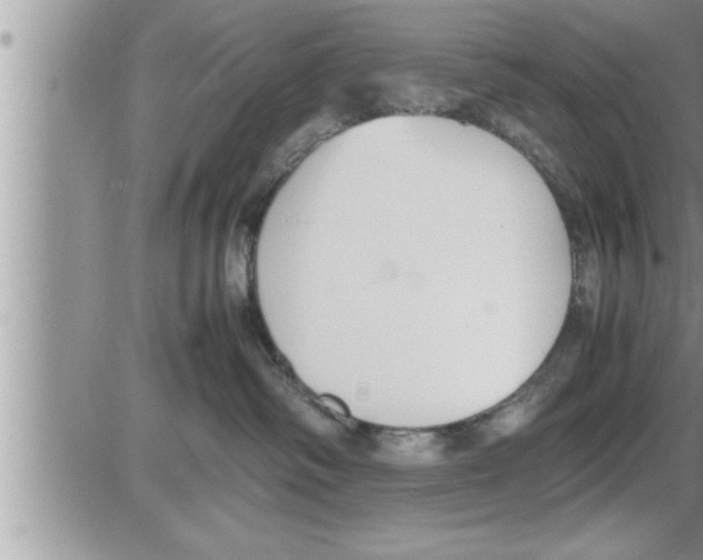 X0000086330334200704271948