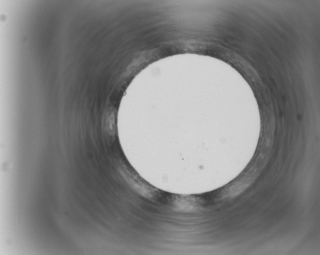 X0000086330336200704271948