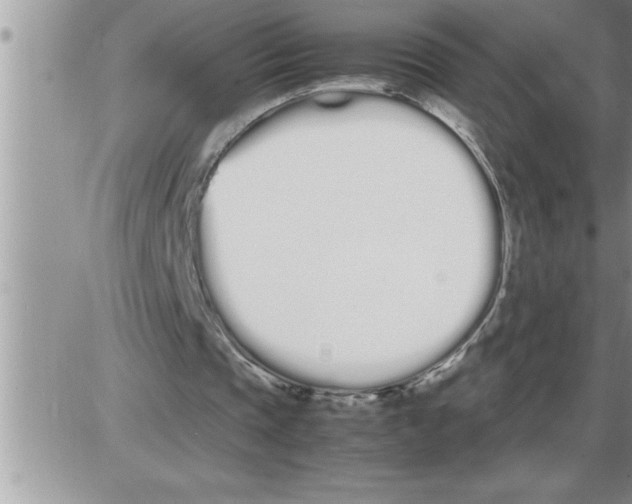 X0000086330337200704271947