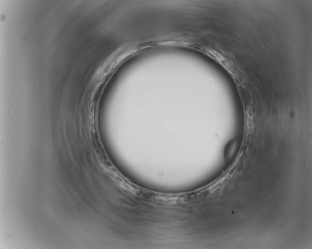 X0000086330339200704271948