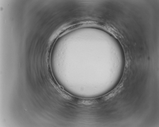 X0000086330341200704271948