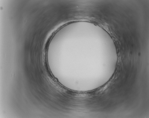 X0000086330342200704271948