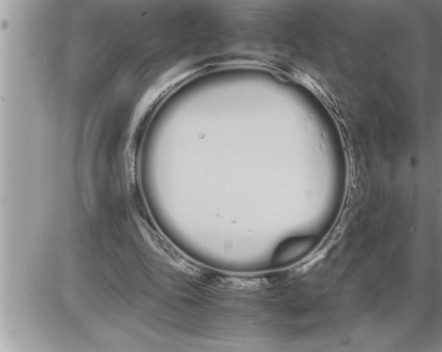 X0000086330343200704271948