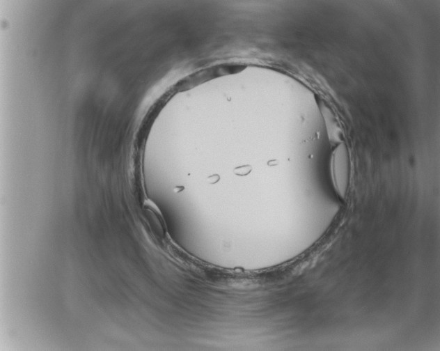 X0000086330344200704271948