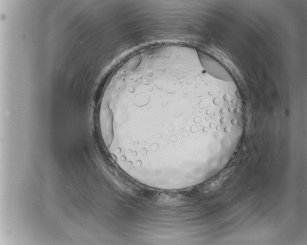 X0000086330346200704271948