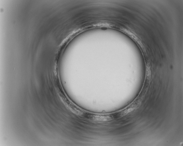 X0000086330347200704271948