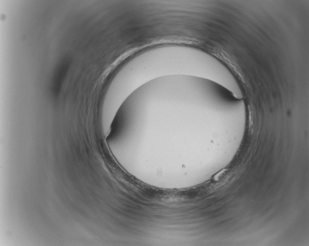 X0000086330348200704271948