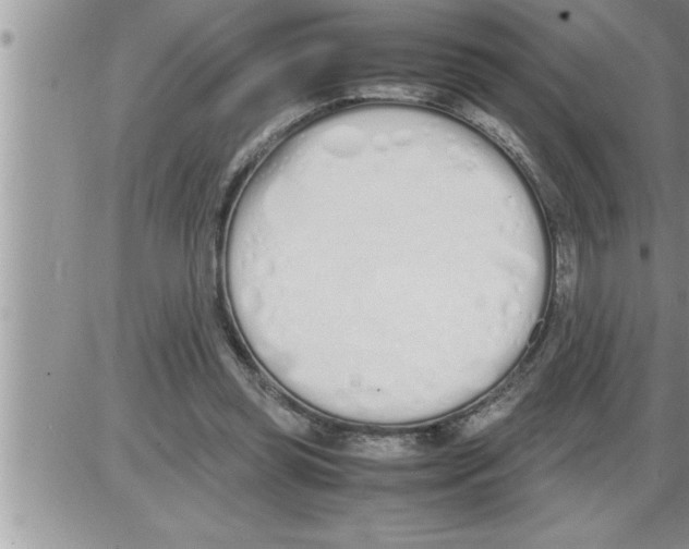 X0000086330349200704271948