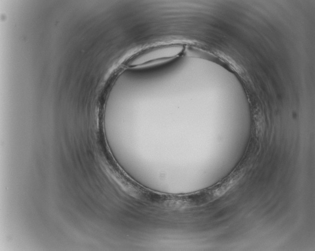 X0000086330350200704271948