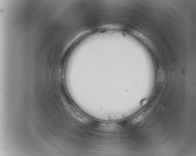 X0000086330351200704271948