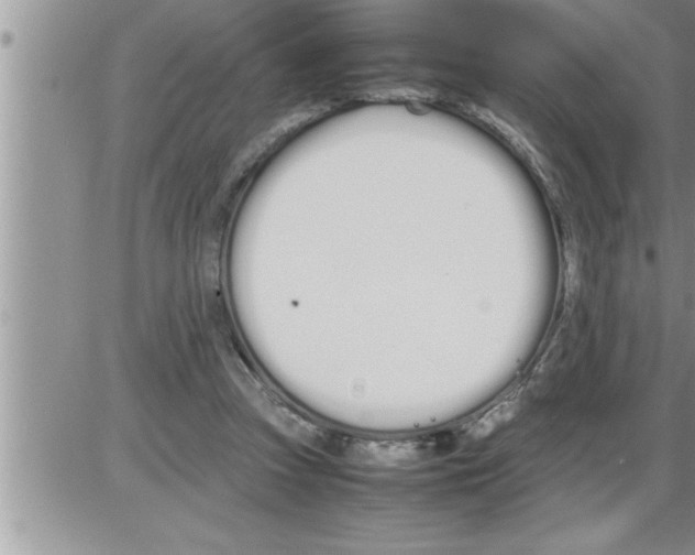 X0000086330353200704271948