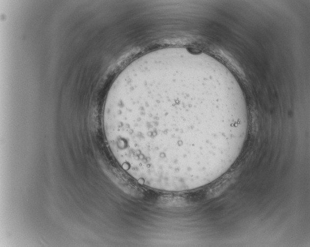 X0000086330354200704271948