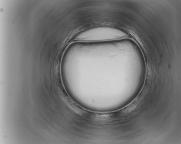 X0000086330357200704271948