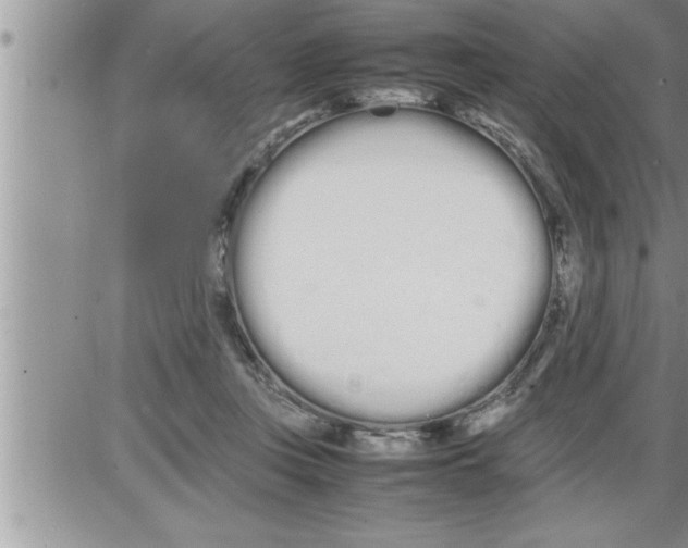 X0000086330359200704271948