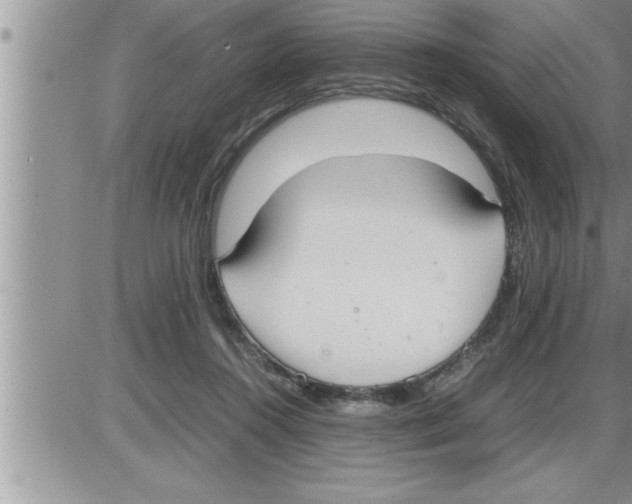 X0000086330360200704271948