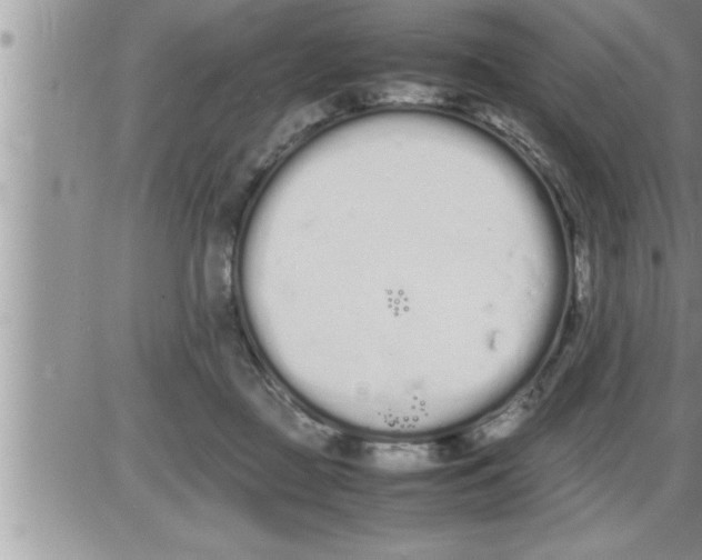 X0000086330363200704271948