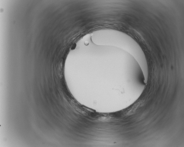 X0000086330364200704271948