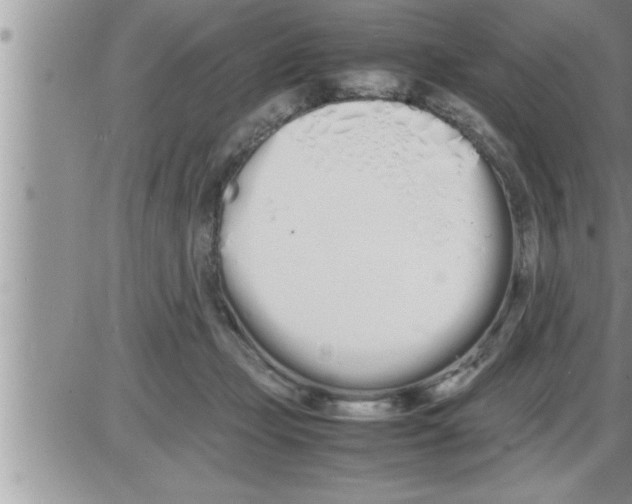 X0000086330365200704271948