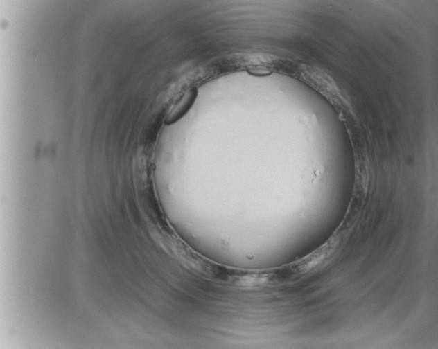 X0000086330366200704271948