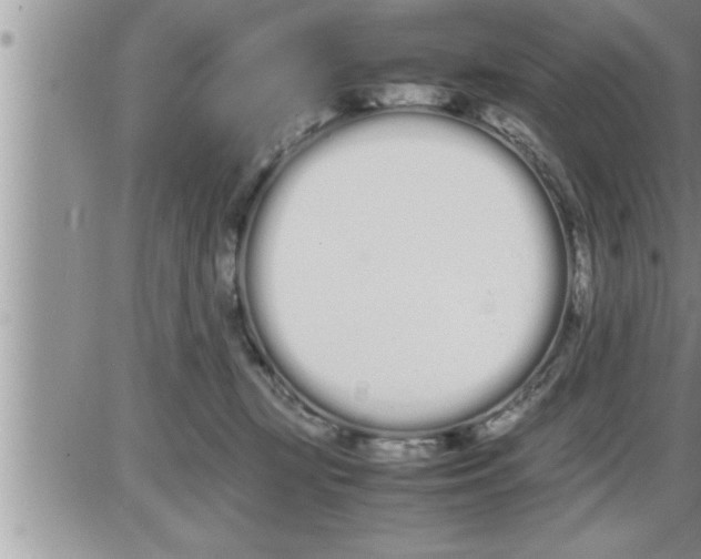 X0000086330367200704271948