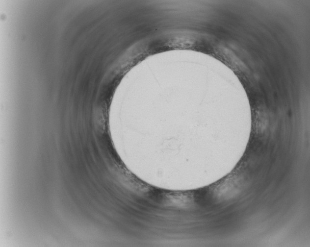 X0000086330370200704271948