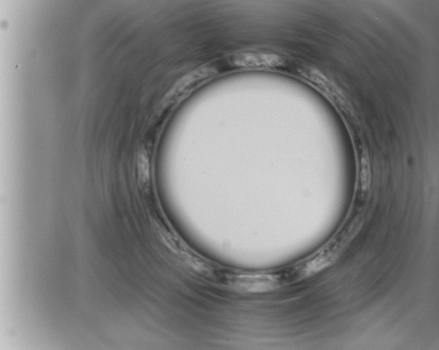 X0000086330371200704271948