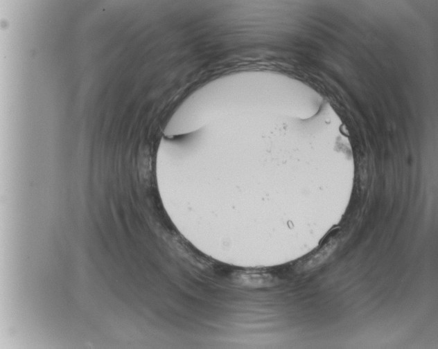 X0000086330372200704271948